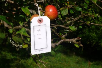 2012-08-18-Apples