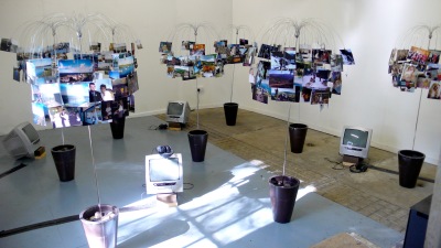 Diane Rickerby: ''New Roots' exhibition, Shippon Gallery, 2008