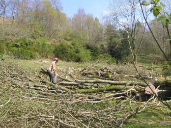 Clearing the back slope of trees, May 2007.