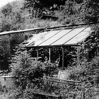 The original glasshouse in the 1950s